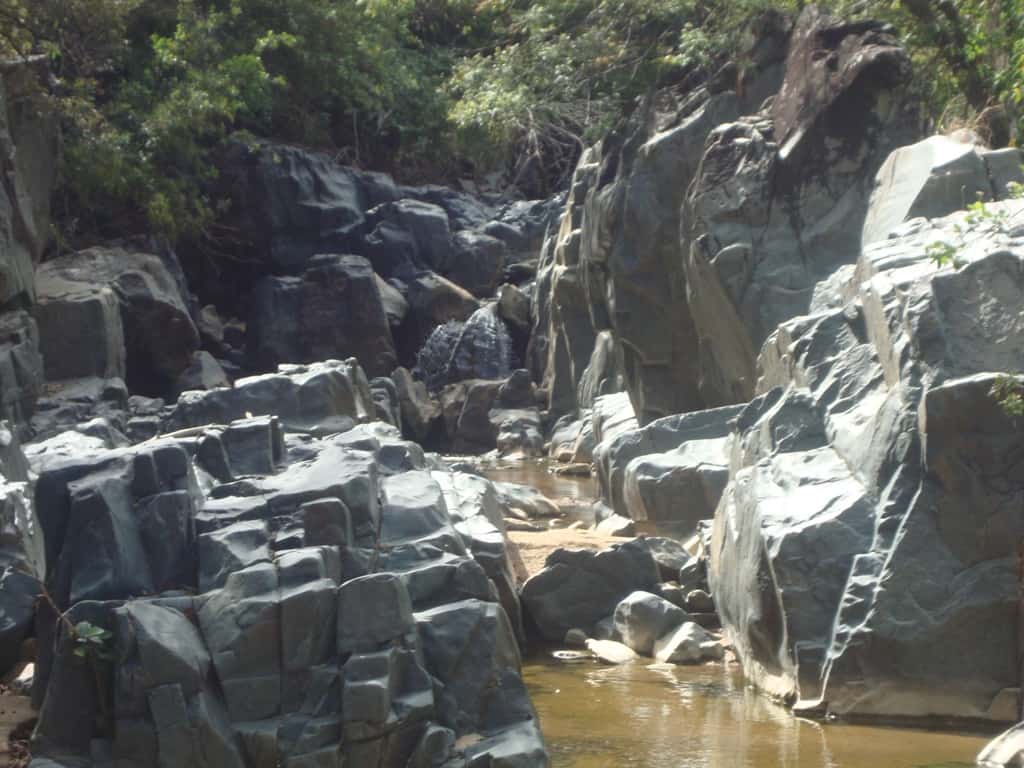 Natural forest in Iringa, Southern Tanzania